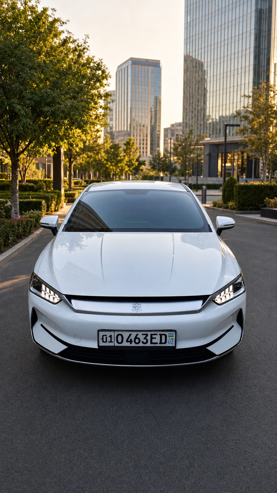 BYD Qin Plus EV